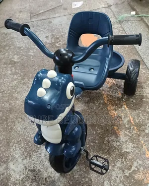 Sany Tricycle
