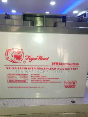 Photo - 12v/18ah/20hr Tiger Head Battery