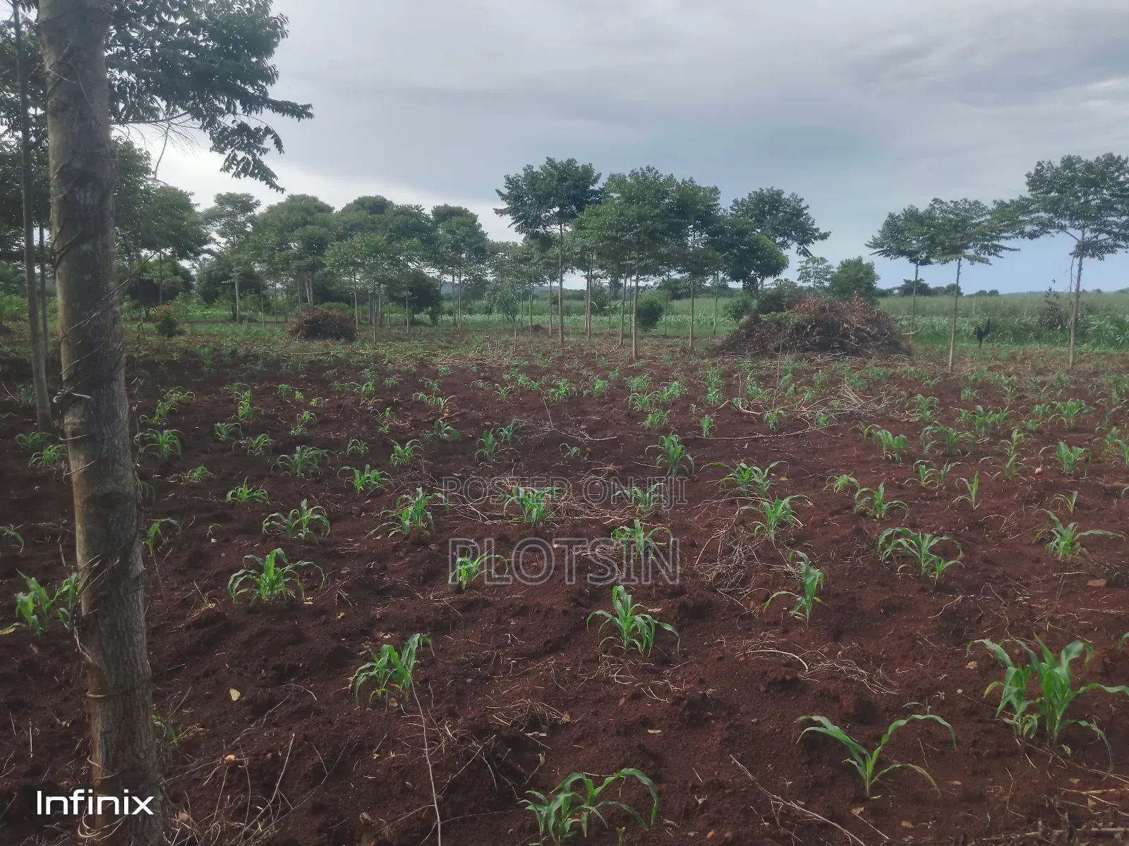 1 Acre in Mutai, Jinja District