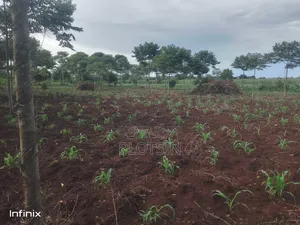 1 Acre in Mutai, Jinja District