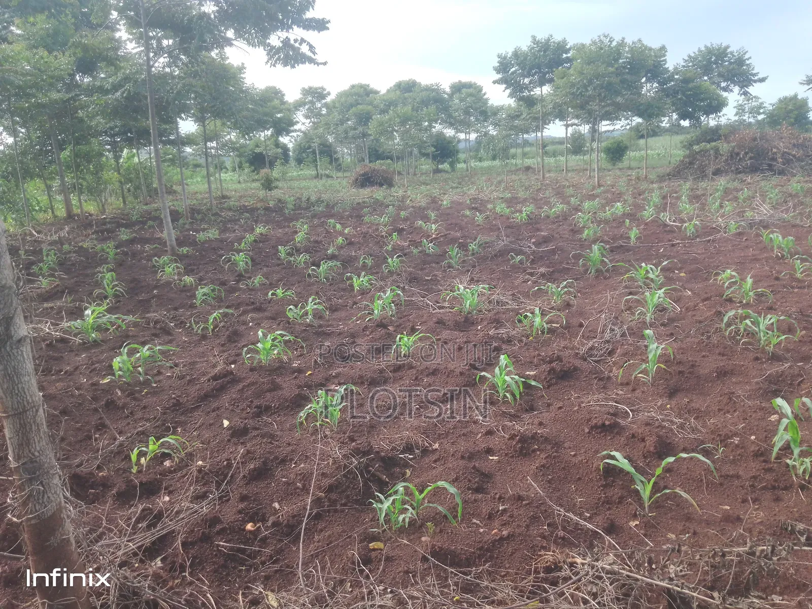 1 Acre in Mutai, Jinja District