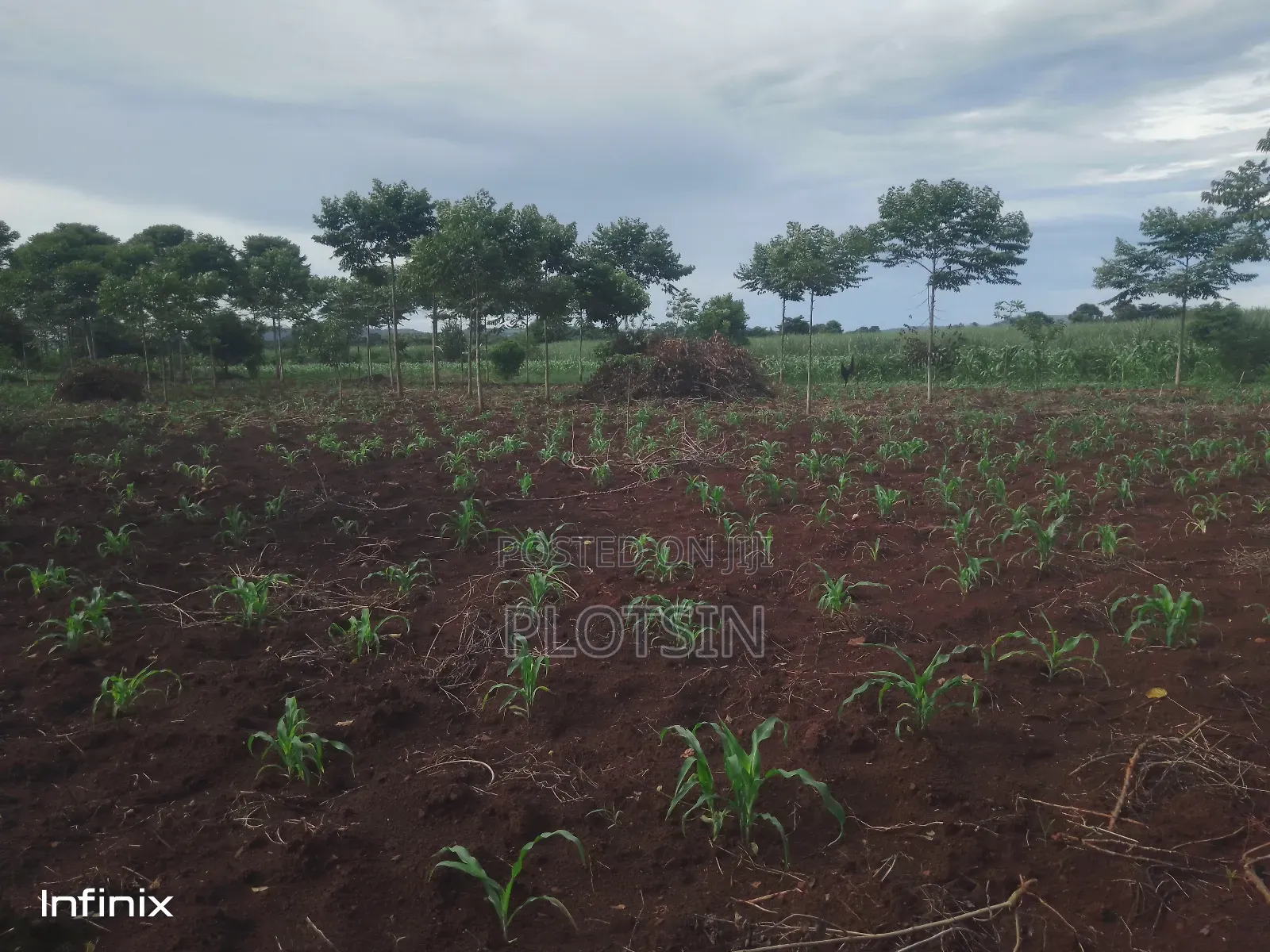 1 Acre in Mutai, Jinja District