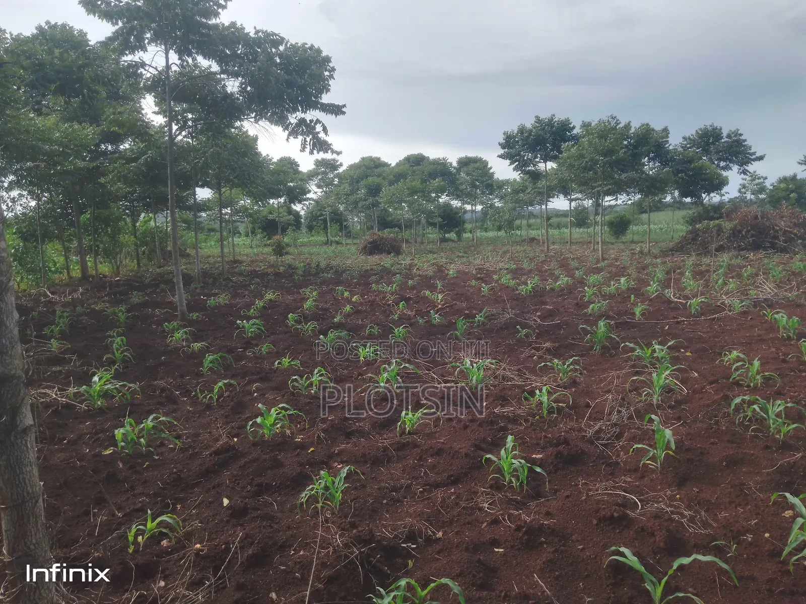 1 Acre in Mutai, Jinja District