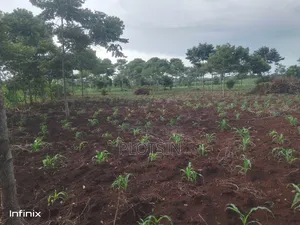 1 Acre in Mutai, Jinja District