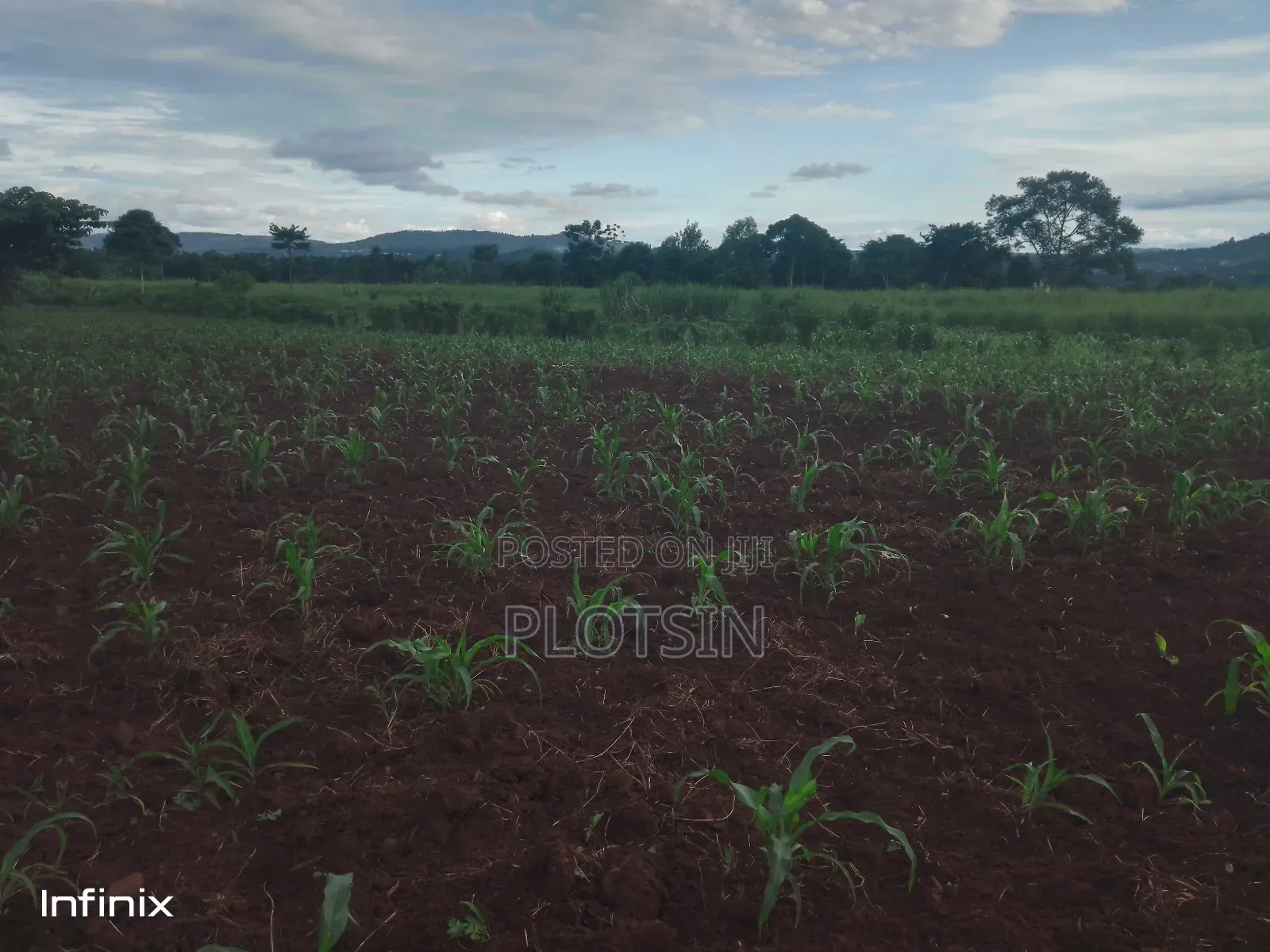 1 Acre in Mutai, Jinja District