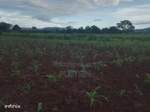 1 Acre in Mutai, Jinja District