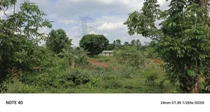 5acres of Land on Sale in Bombo Kalule