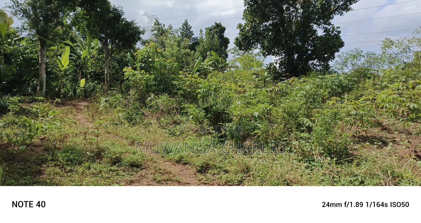 5acres of Land on Sale in Bombo Kalule