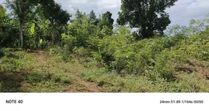 5acres of Land on Sale in Bombo Kalule