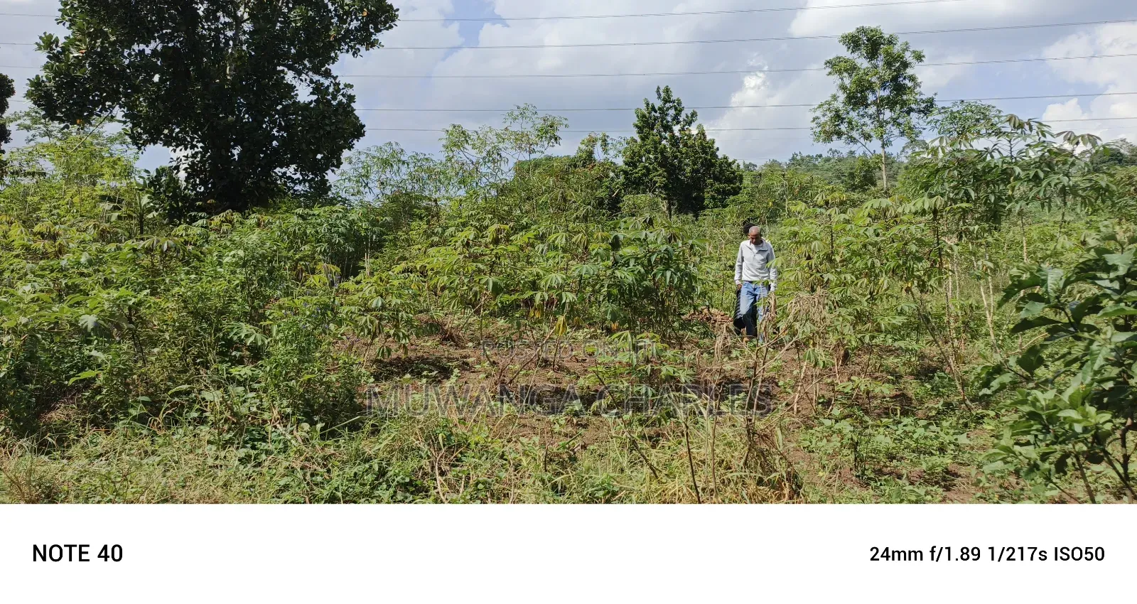 5acres of Land on Sale in Bombo Kalule