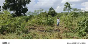 5acres of Land on Sale in Bombo Kalule