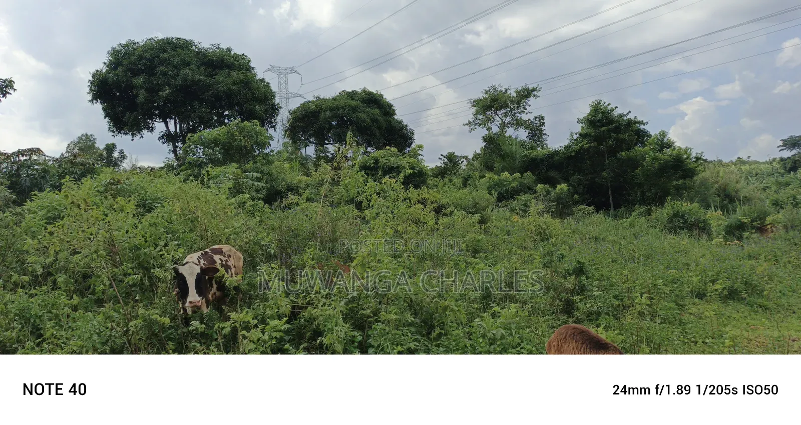5acres of Land on Sale in Bombo Kalule