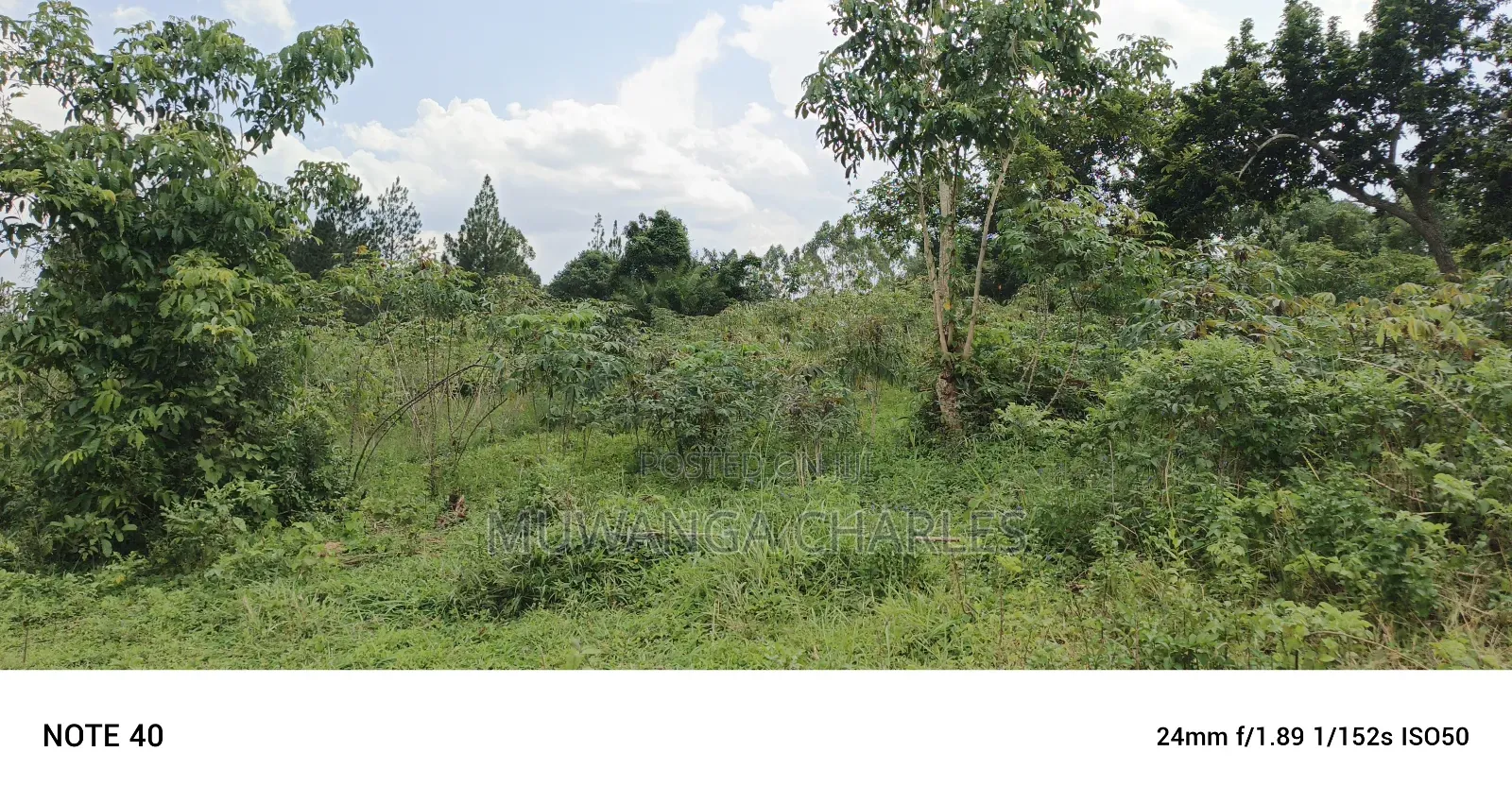 5acres of Land on Sale in Bombo Kalule