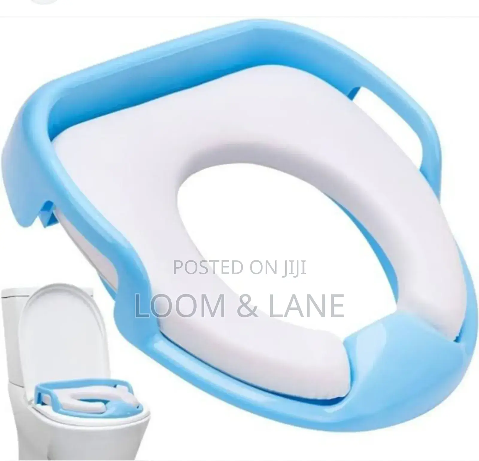 Chicco Toilet Training Seat