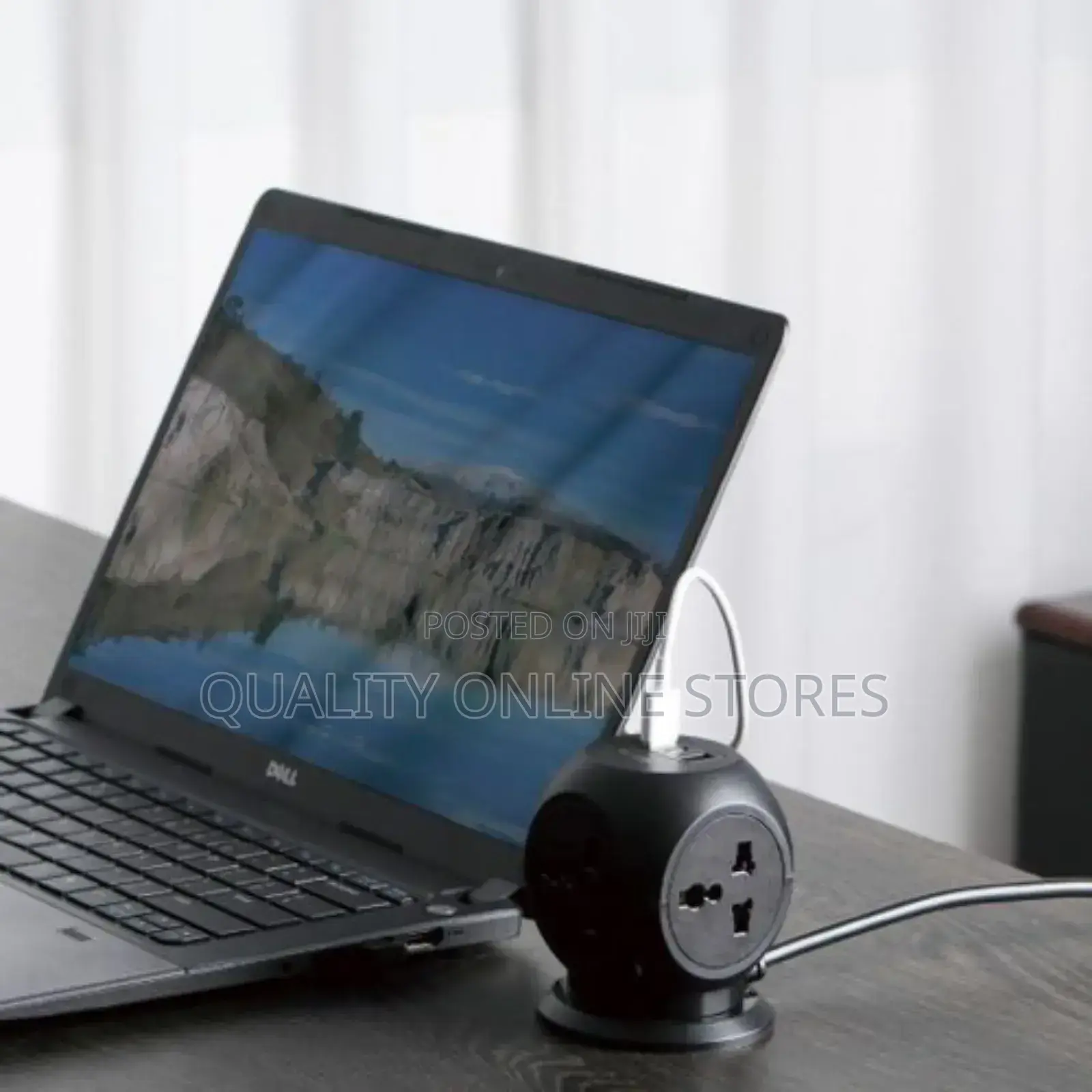 Green Lion Desk Socket