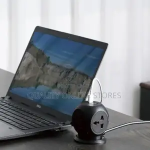 Green Lion Desk Socket
