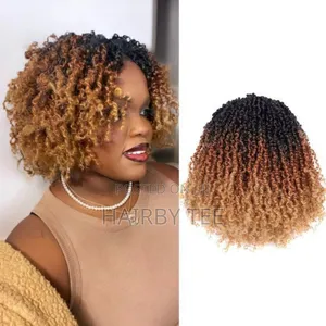 Chrochet Hair Styles