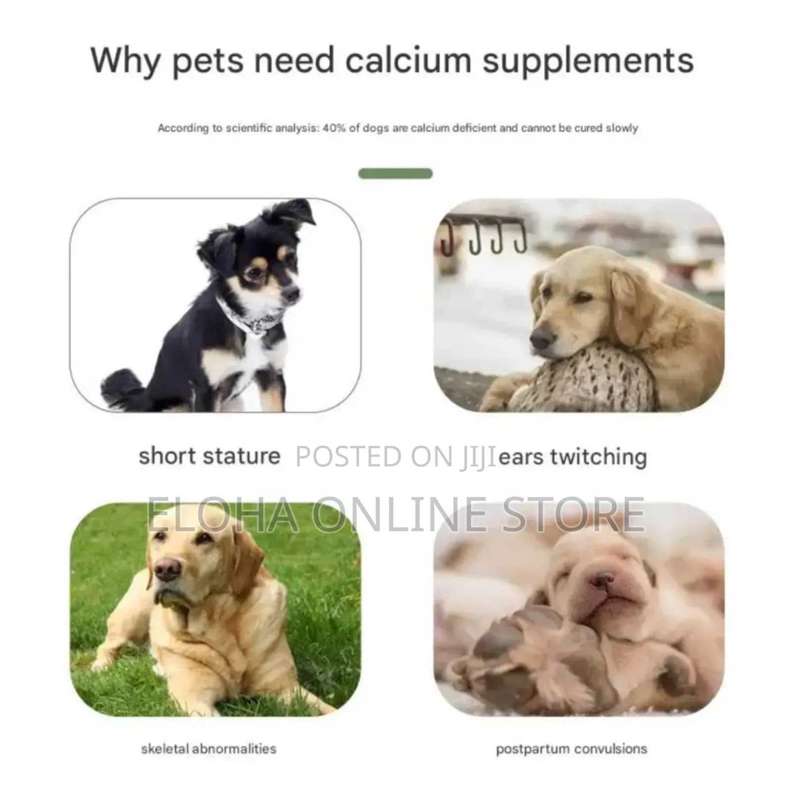Pet Nutritional Supplements
