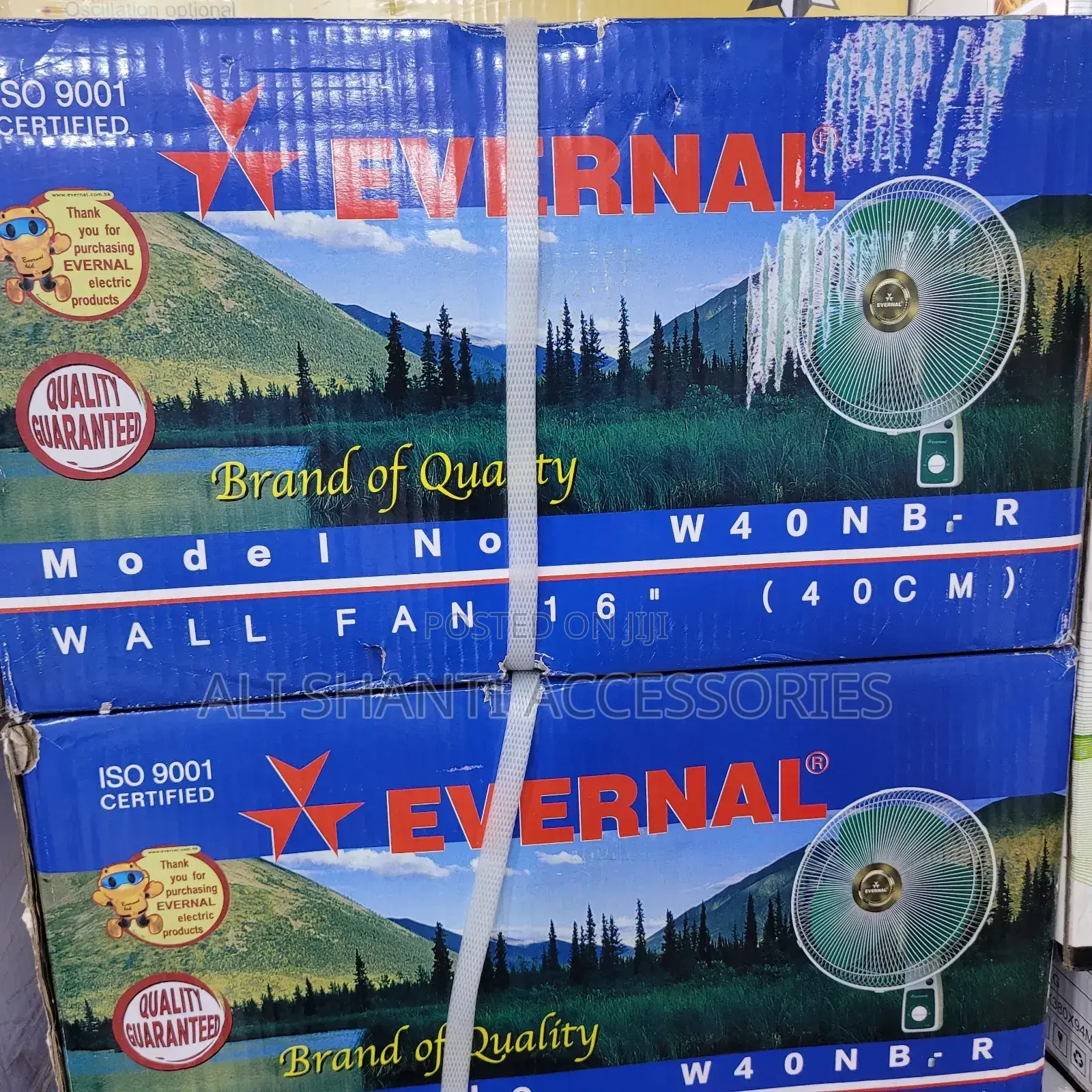 Evernal Wall Fan