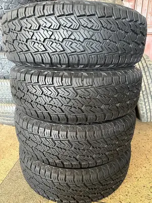225/65r17 Sailun Tyres