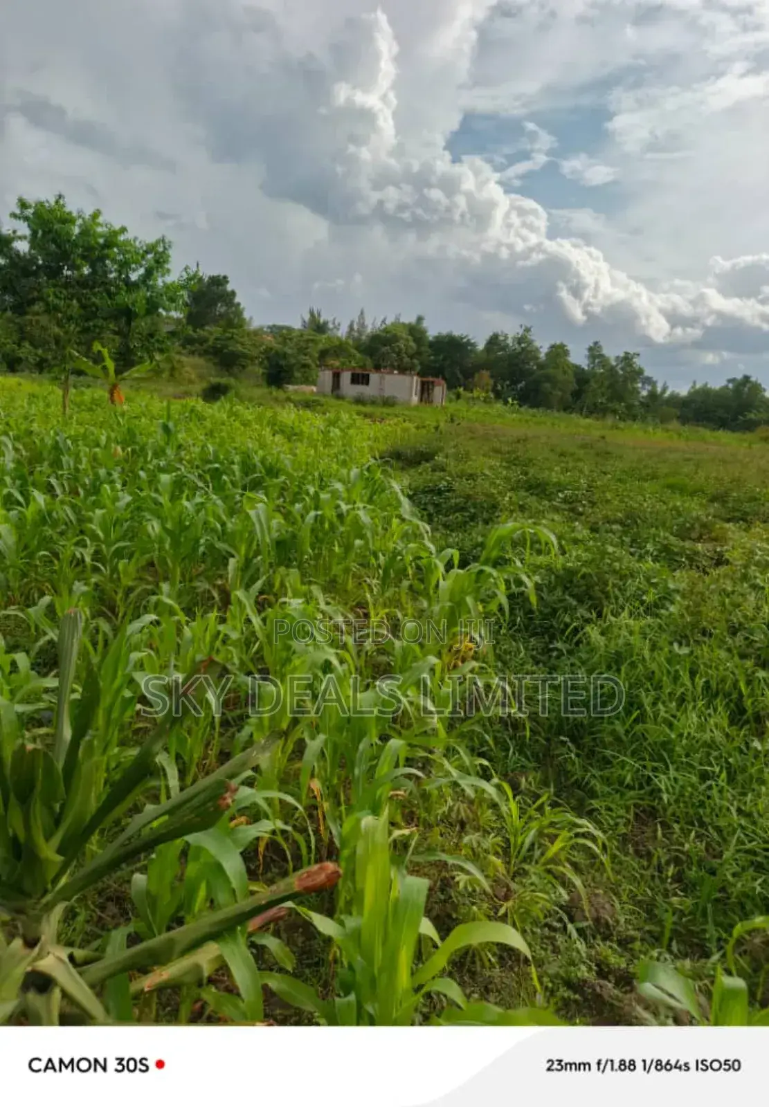 100 Acres of Land for Rent in Gayaza