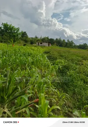 100 Acres of Land for Rent in Gayaza