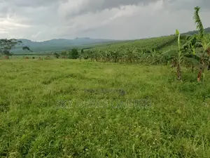 Photo - 100by50ft Plot for Rent in Gayaza