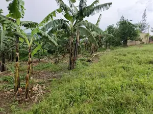 100by50ft Plot for Rent in Gayaza
