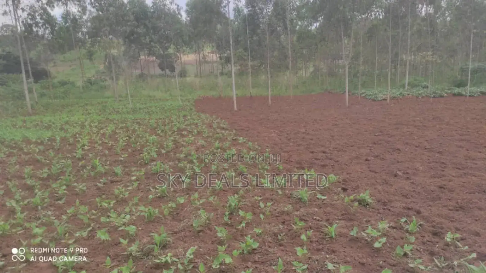 100by50ft Plot for Rent in Gayaza