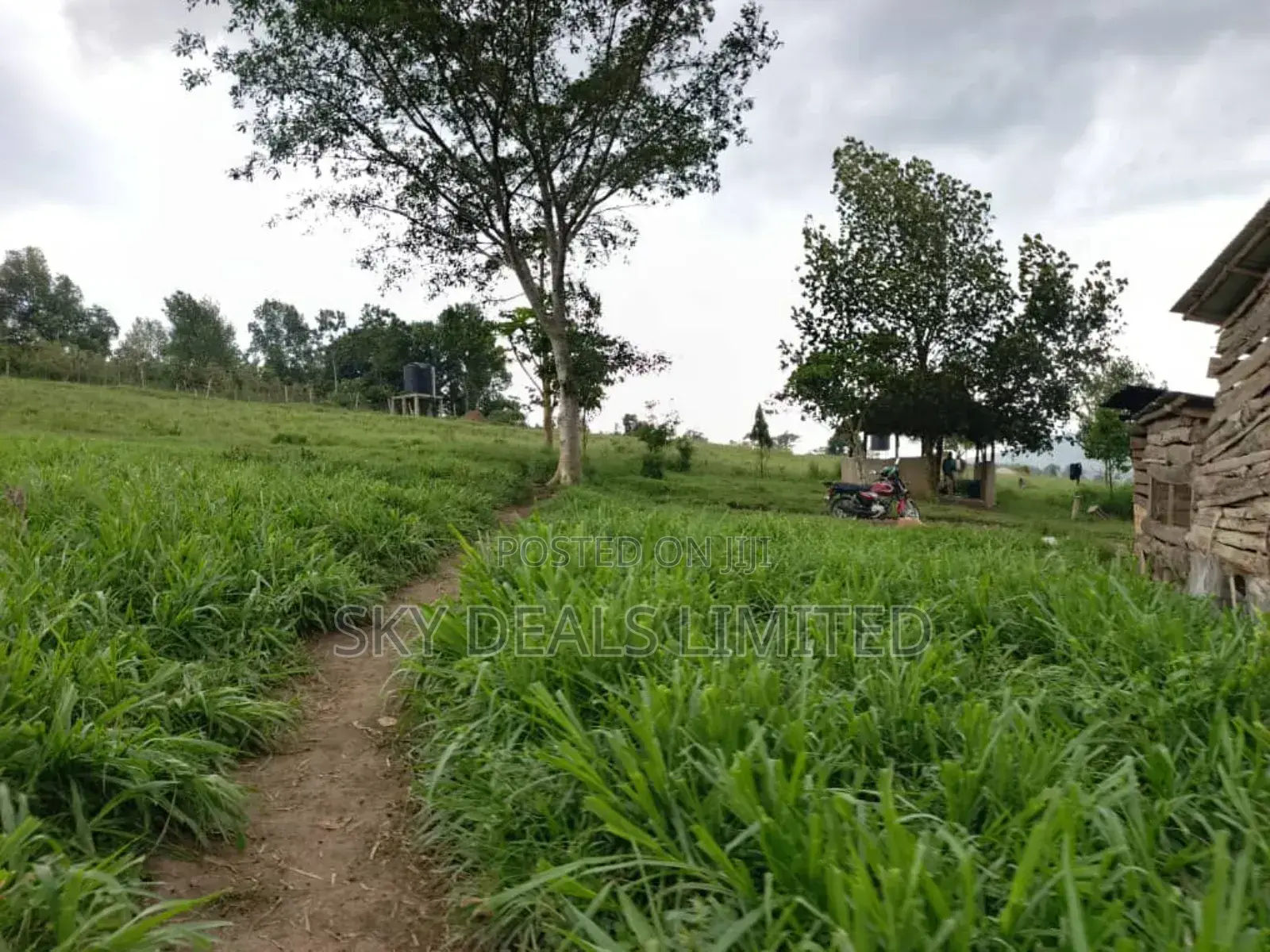 100by50ft Plot for Rent in Gayaza