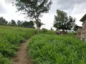 100by50ft Plot for Rent in Gayaza