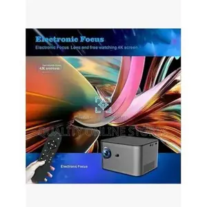 Electric Borrego Projector
