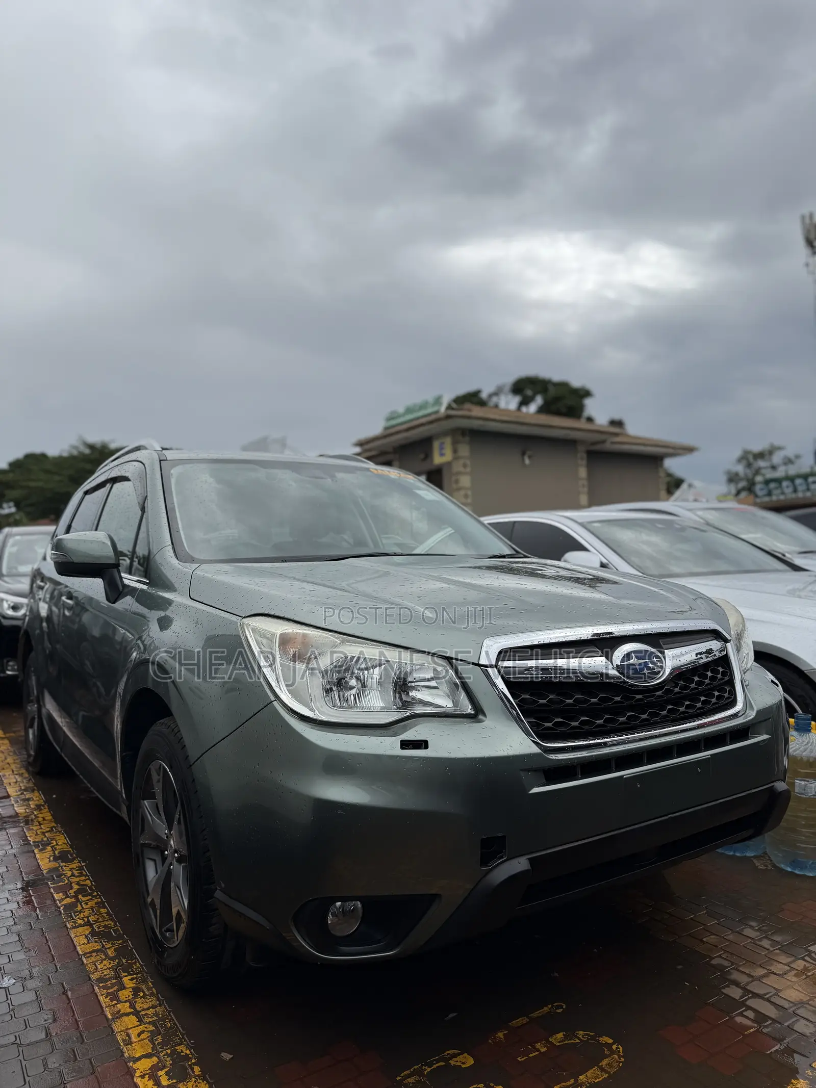 Subaru Forester 2014 Green