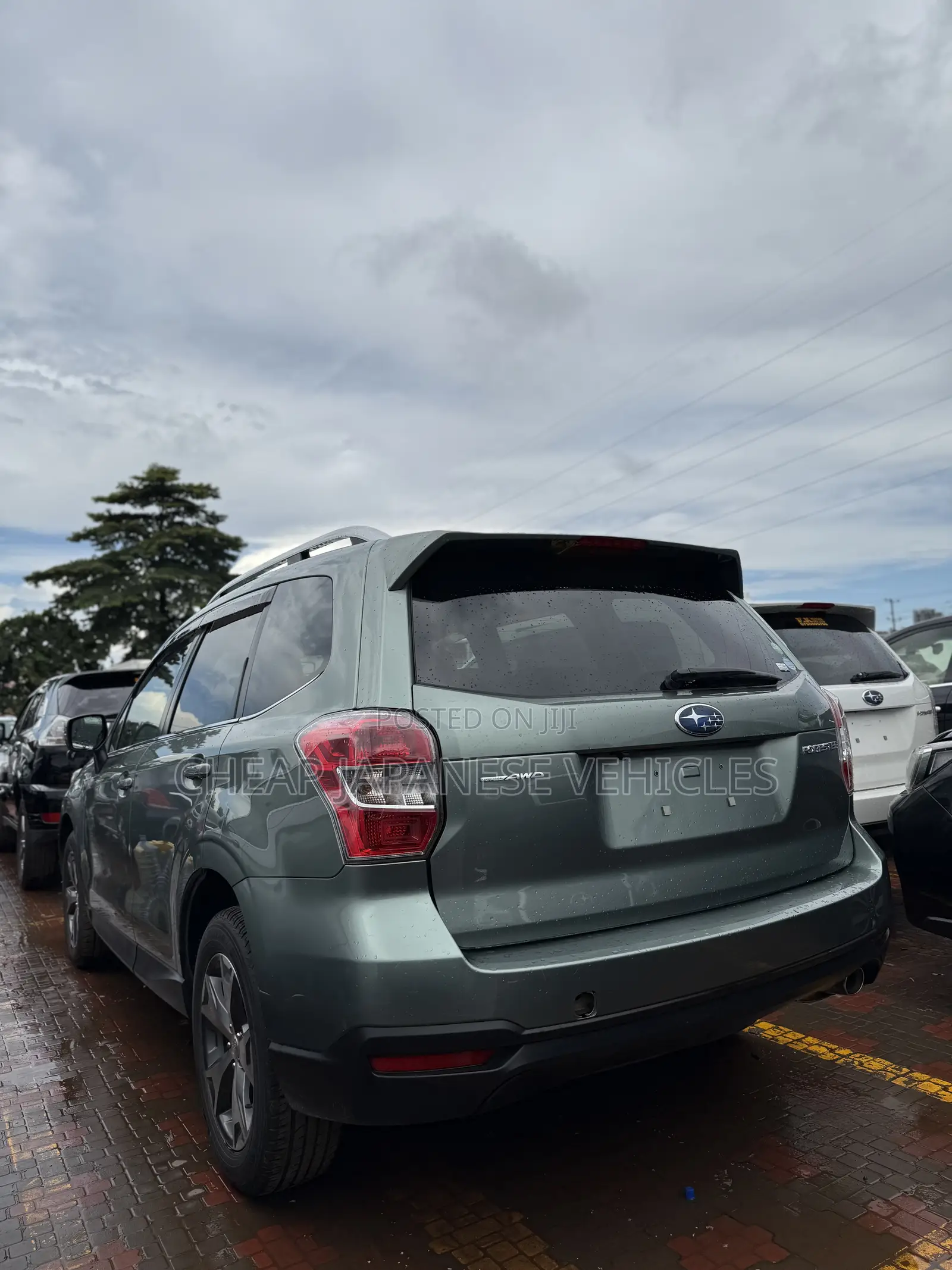 Subaru Forester 2014 Green