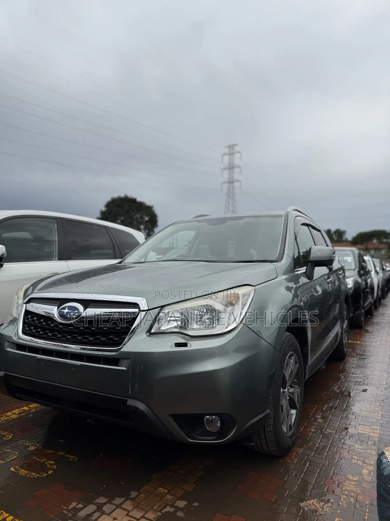 Subaru Forester 2014 Green