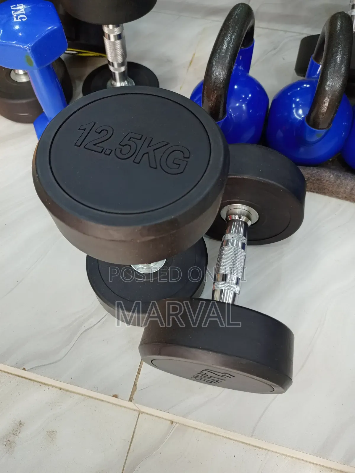 A Pair of 12.5kg Rounded Dumbbells Set Heavy Weights