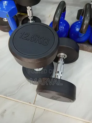 A Pair of 12.5kg Rounded Dumbbells Set Heavy Weights