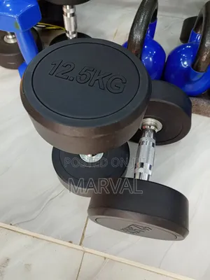 A Pair of 12.5kg Rounded Dumbbells Set Heavy Weights
