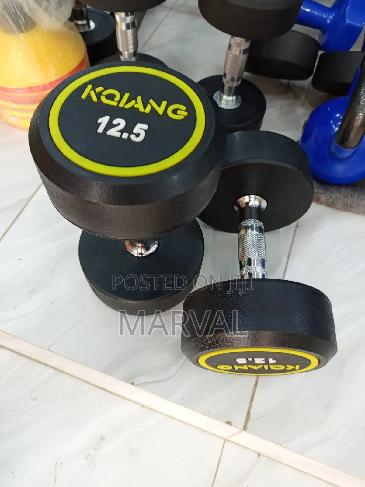 Two 12.5kg Rounded Dumbbells Set Heavy Weights