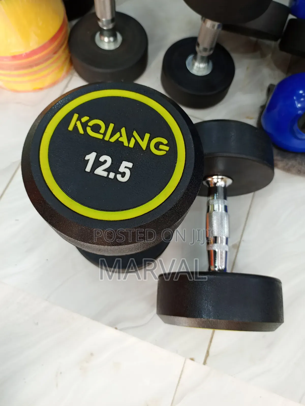 Two 12.5kg Rounded Dumbbells Set Heavy Weights