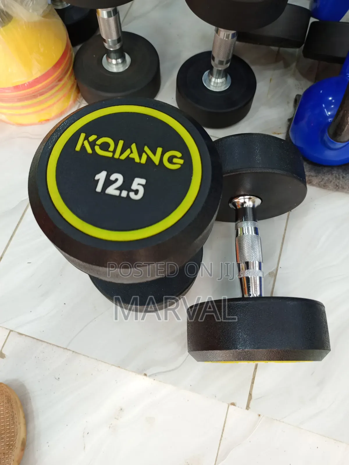 Two 12.5kg Rounded Dumbbells Set Heavy Weights