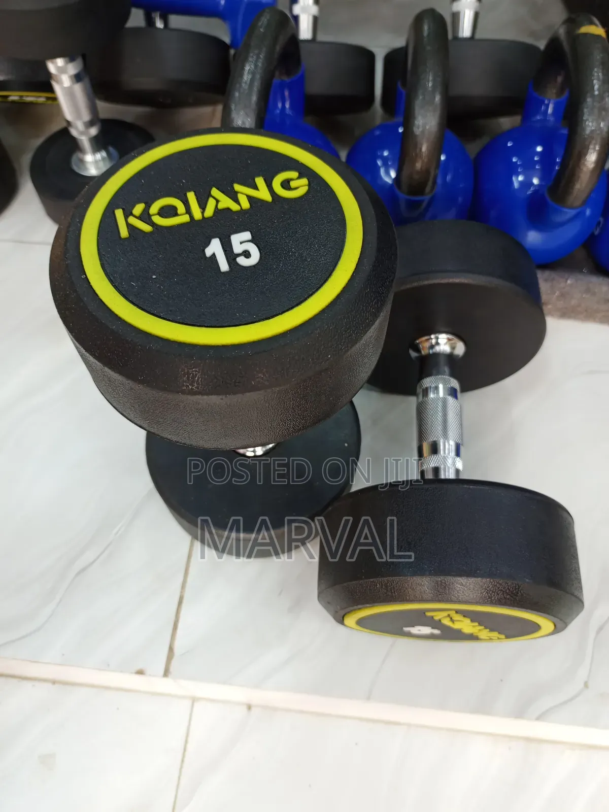Two 15kg Round Dumbbell