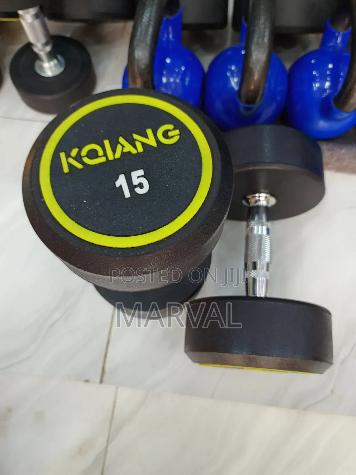 Two 15kg Round Dumbbell