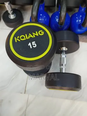 Two 15kg Round Dumbbell