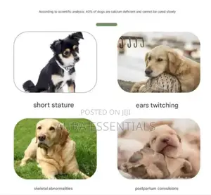 Pet Nutritional Supplements