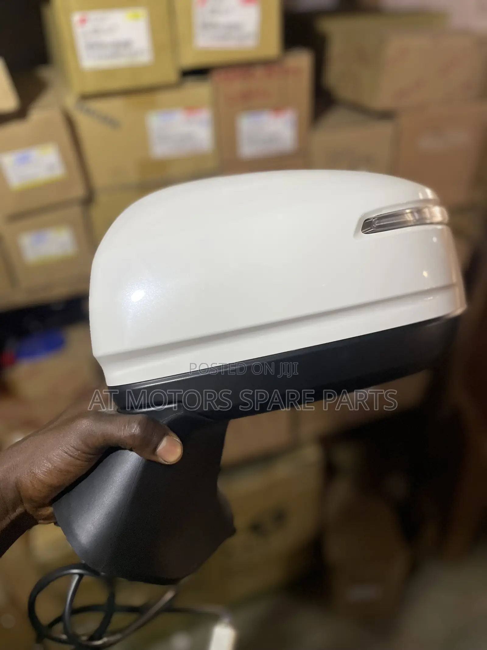 Land Cruiser 300 Side Mirror