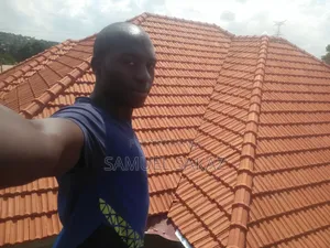 Photo - Roofing (Tiles and Sheets)