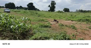 4acres of Land on Sale in Bombo Kalule