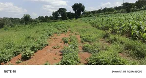 4acres of Land on Sale in Bombo Kalule