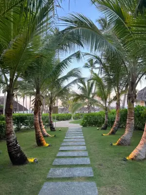 Land Scape Designer